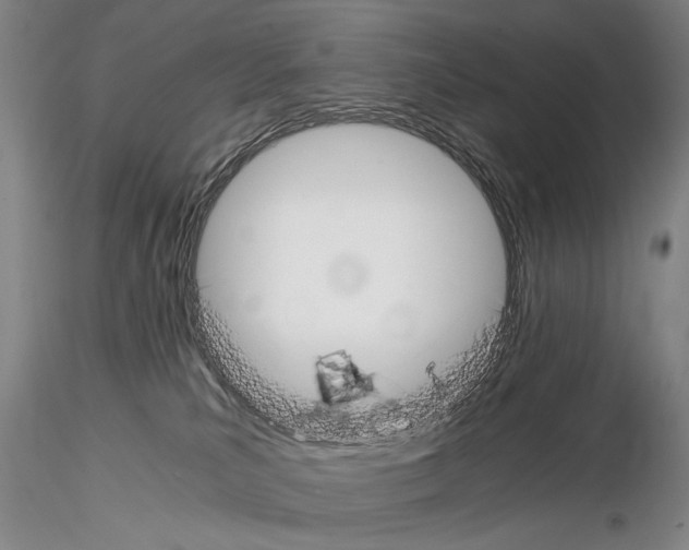 X0000115000039200912071151