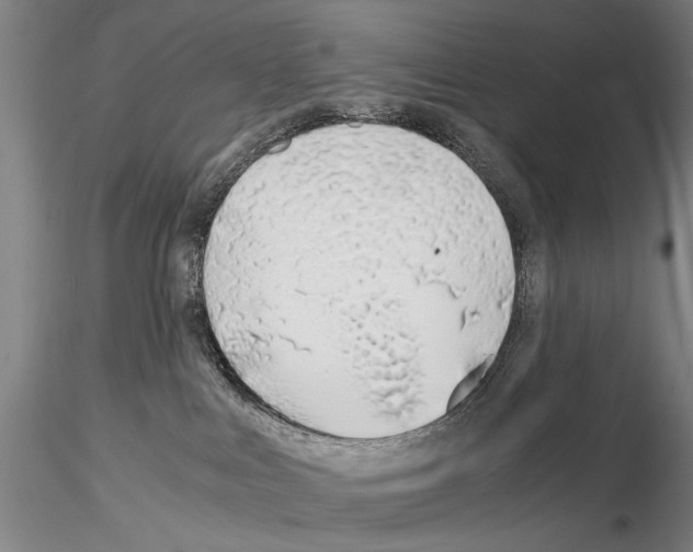 X0000115000043200912071150