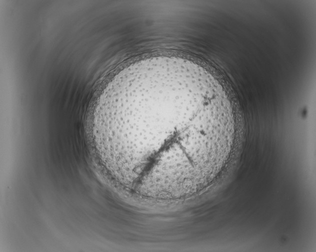 X0000115000044200912071150