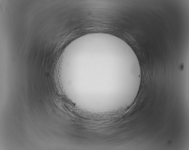 X0000115000045200912071150