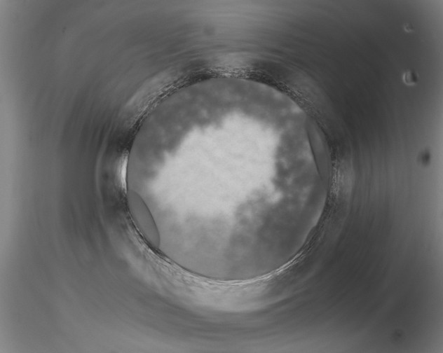 X0000115000047200912071150