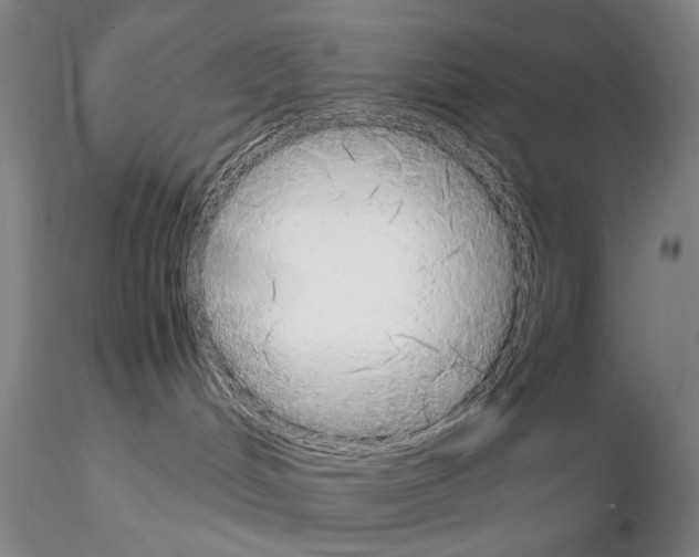 X0000115000048200912071150