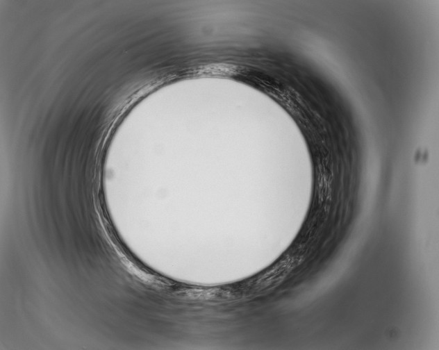 X0000115000049200912071150