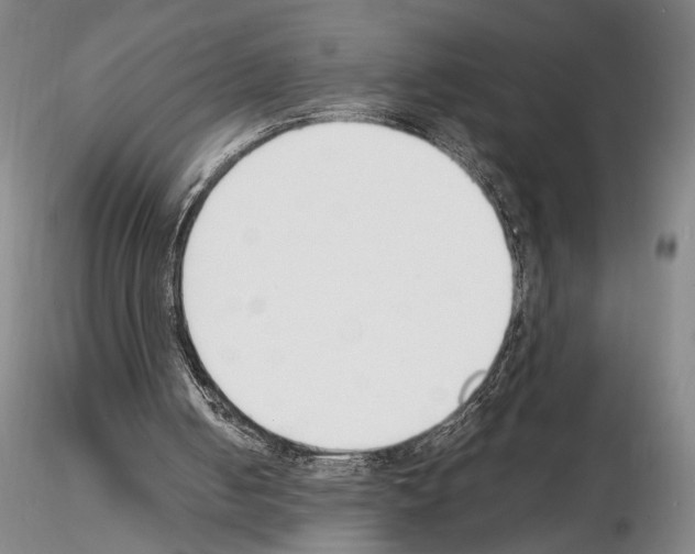 X0000115000050200912071150