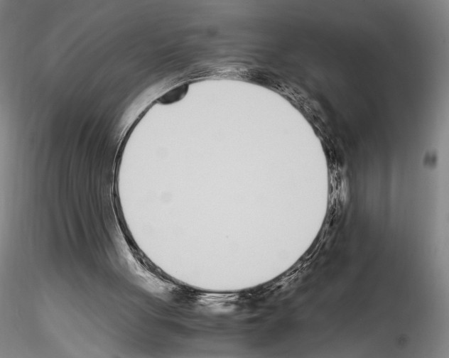 X0000115000051200912071150