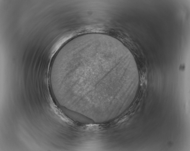 X0000115000052200912071150