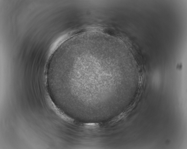 X0000115000053200912071150