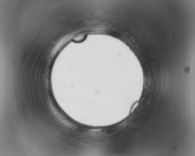 X0000115000054200912071150