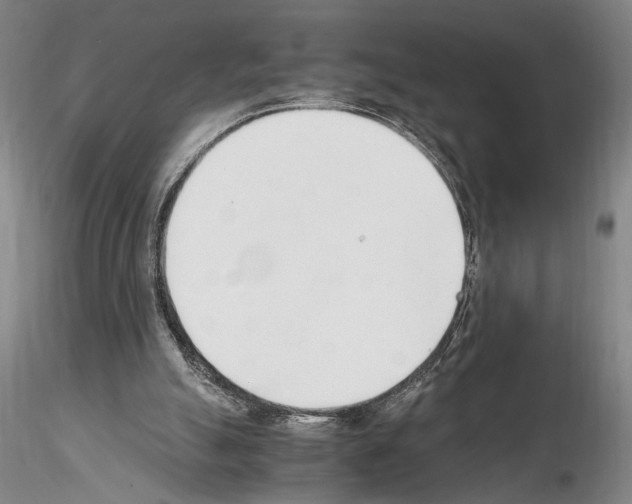 X0000115000055200912071150