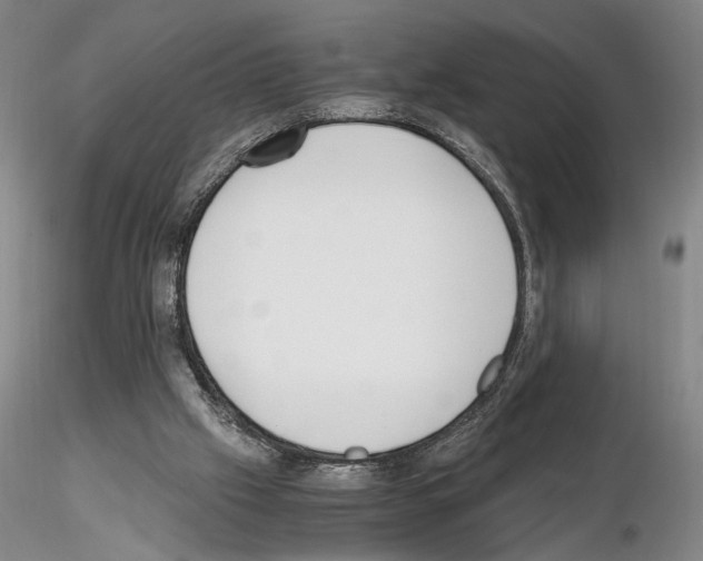 X0000115000057200912071150