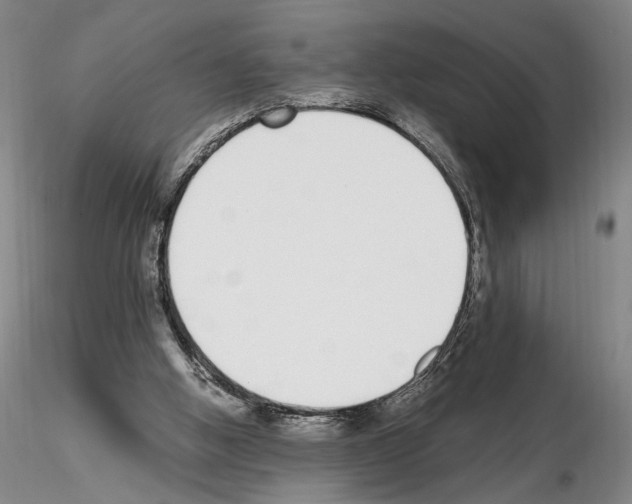 X0000115000058200912071150