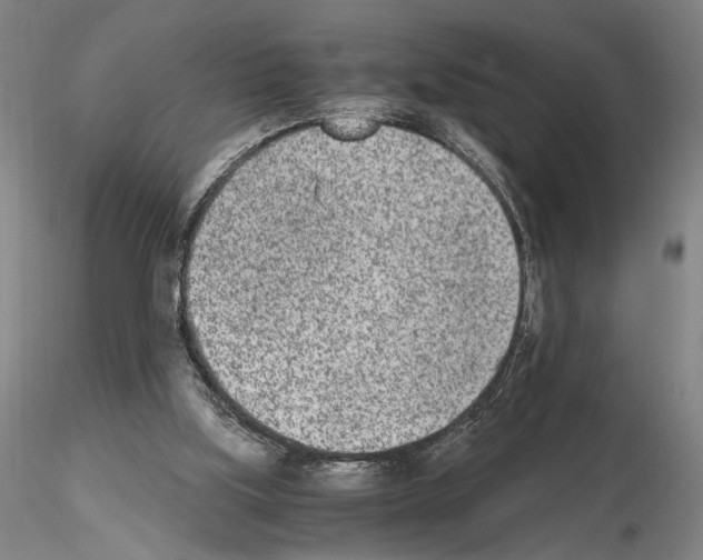 X0000115000059200912071150