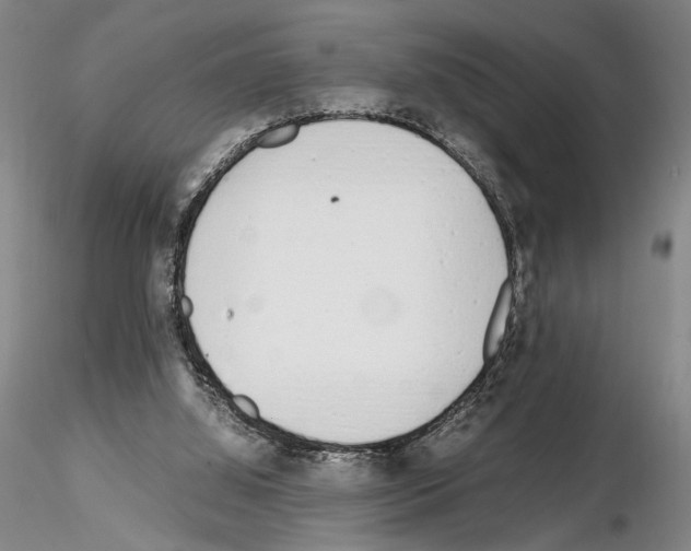 X0000115000060200912071150