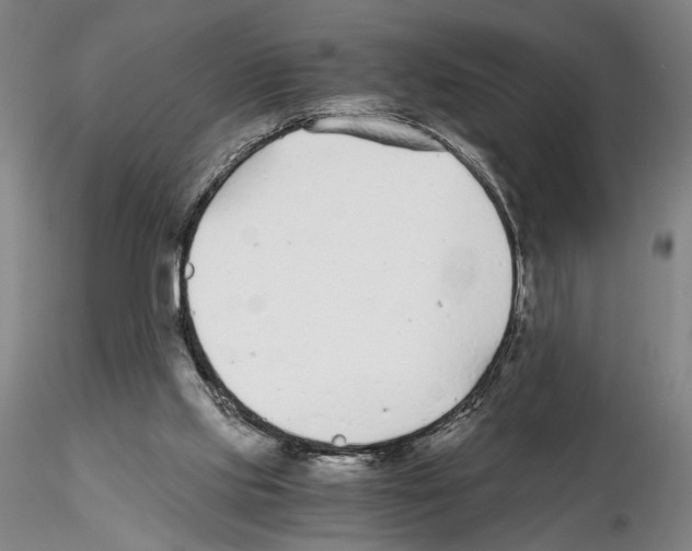 X0000115000061200912071150