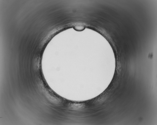 X0000115000063200912071150