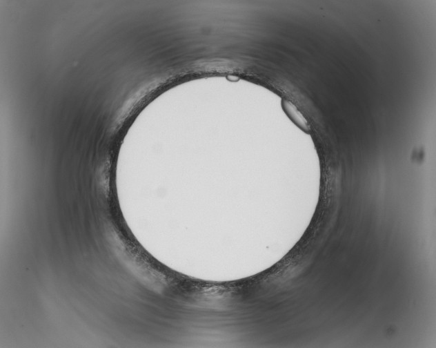 X0000115000064200912071150