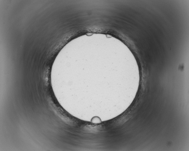 X0000115000065200912071150