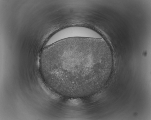 X0000115000067200912071150