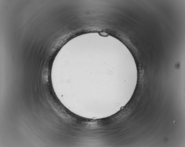 X0000115000068200912071150