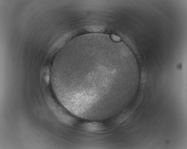 X0000115000069200912071150