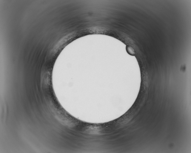 X0000115000071200912071150