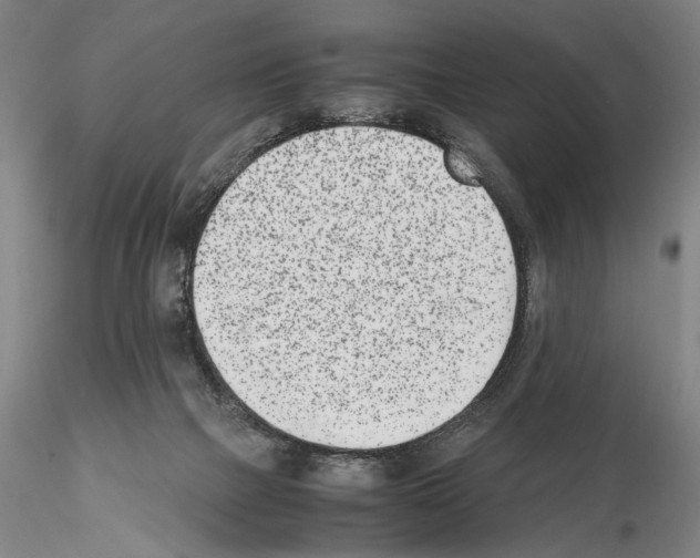 X0000115000073200912071150