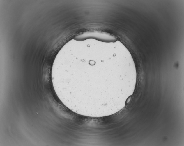 X0000115000074200912071150