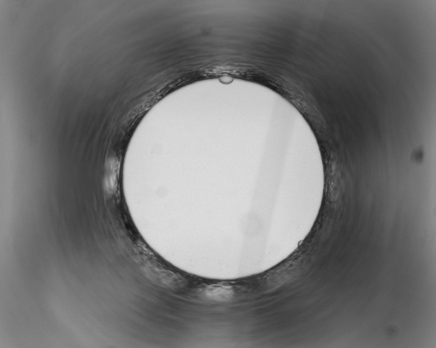 X0000115000075200912071150