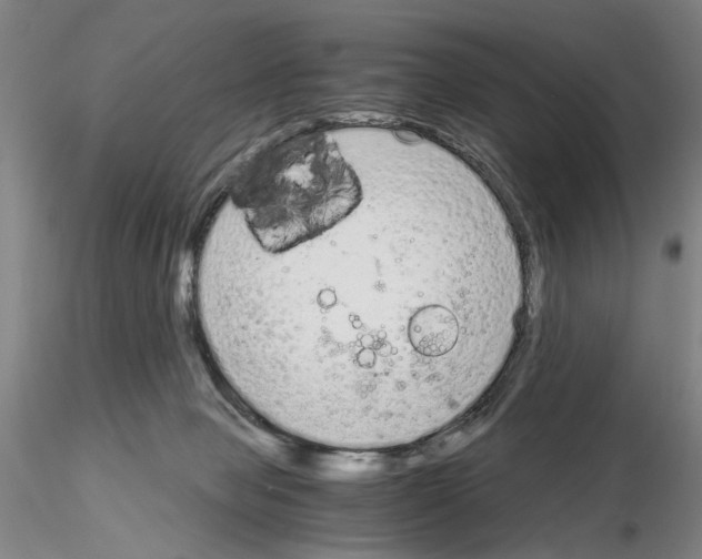 X0000115000077200912071150