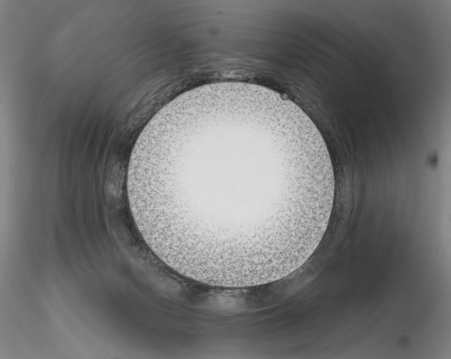 X0000115000078200912071150