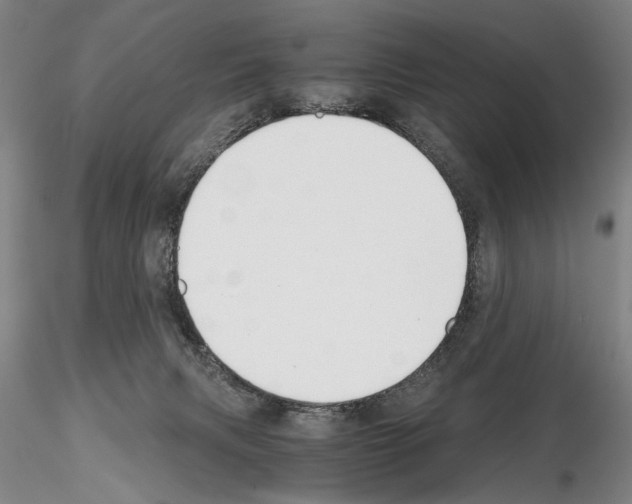 X0000115000079200912071150