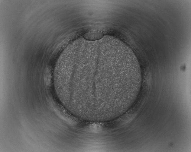 X0000115000080200912071150