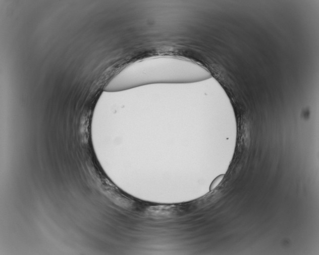 X0000115000082200912071150