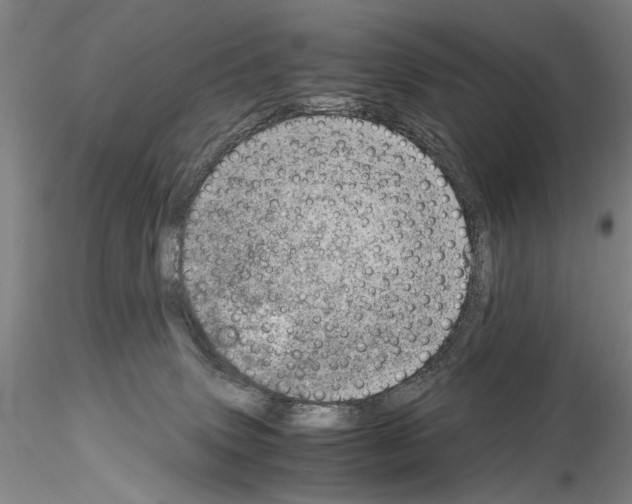 X0000115000083200912071150