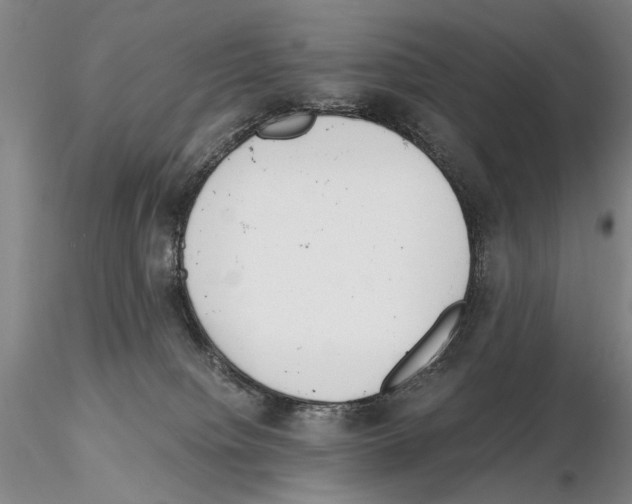 X0000115000084200912071150