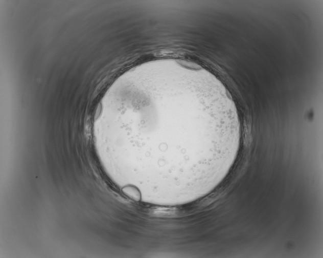 X0000115000085200912071150