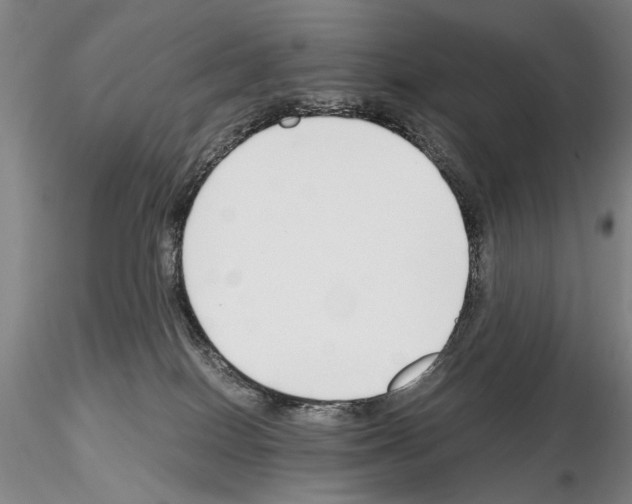 X0000115000086200912071150