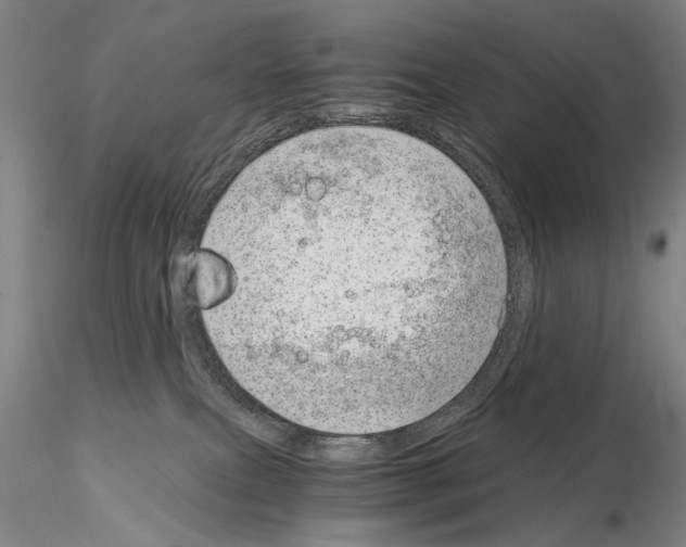 X0000115000087200912071150