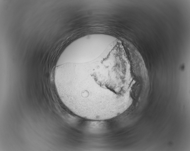 X0000115000089200912071150