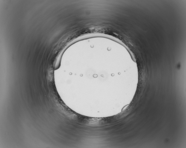 X0000115000090200912071150