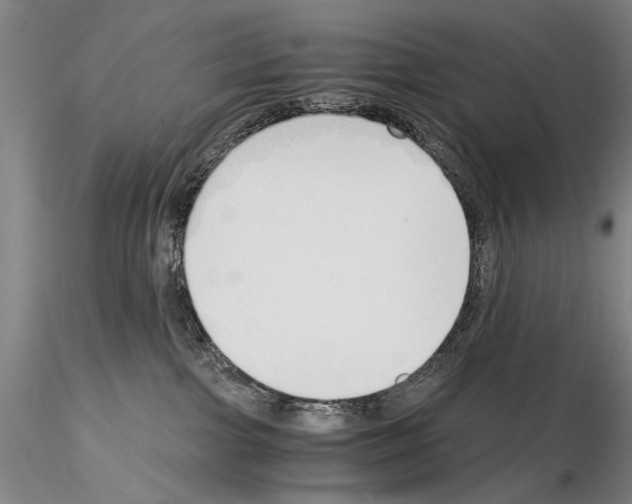 X0000115000091200912071150