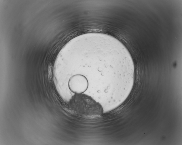 X0000115000093200912071150