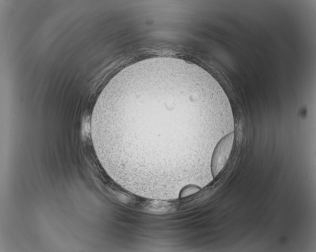 X0000115000095200912071150