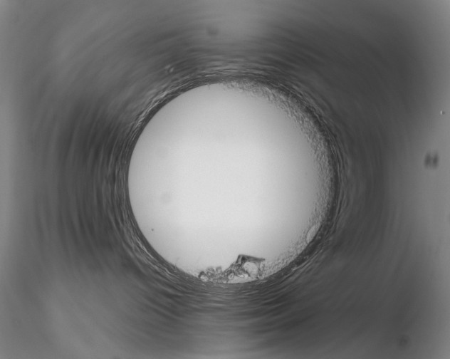 X0000115000096200912071150