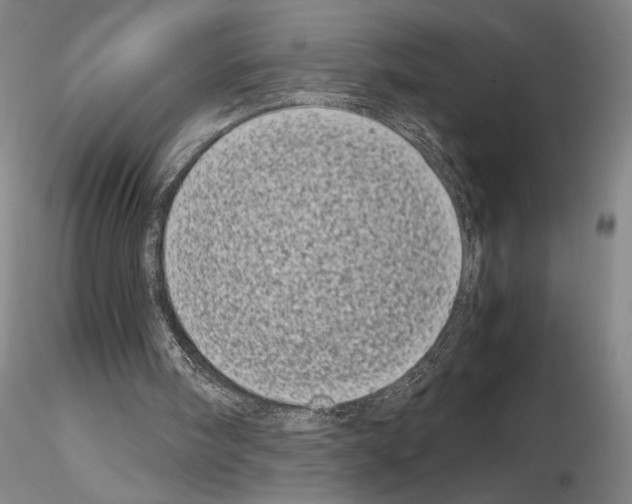 X0000115000098200912071150