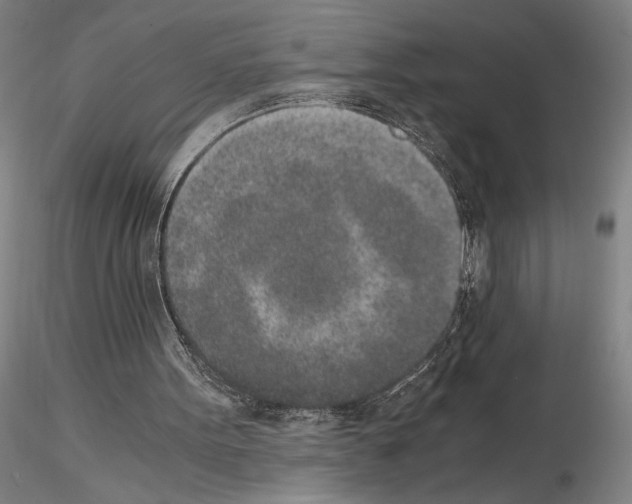 X0000115000099200912071150