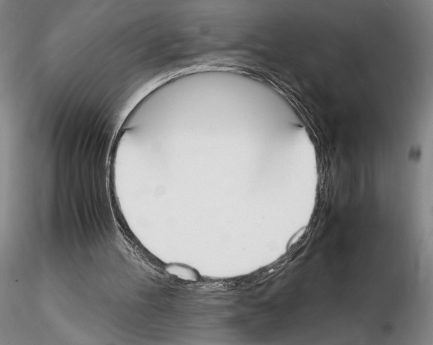 X0000115000100200912071149