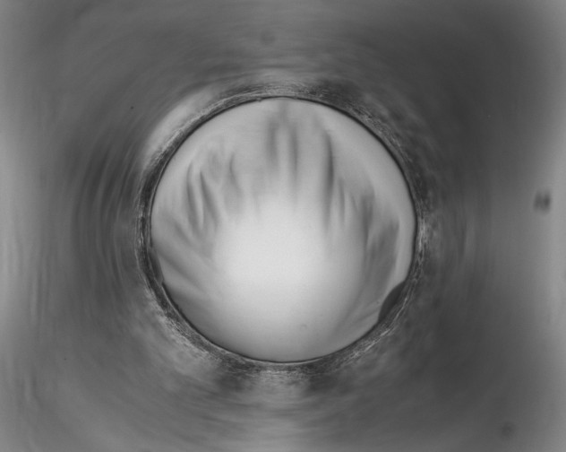 X0000115000101200912071149