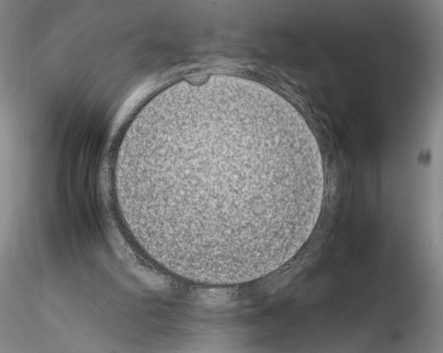 X0000115000102200912071149