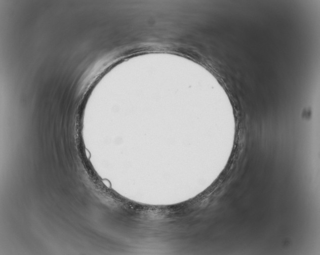 X0000115000103200912071149